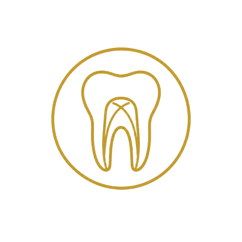 Endodoncia